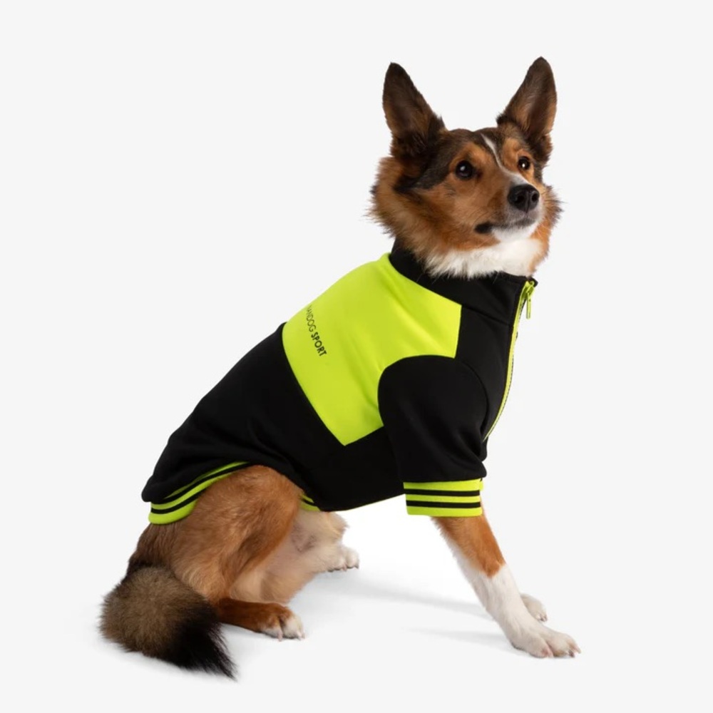 NANDOG PET GEAR  Dog Sport Jacket  Black/ Yellow Size : M